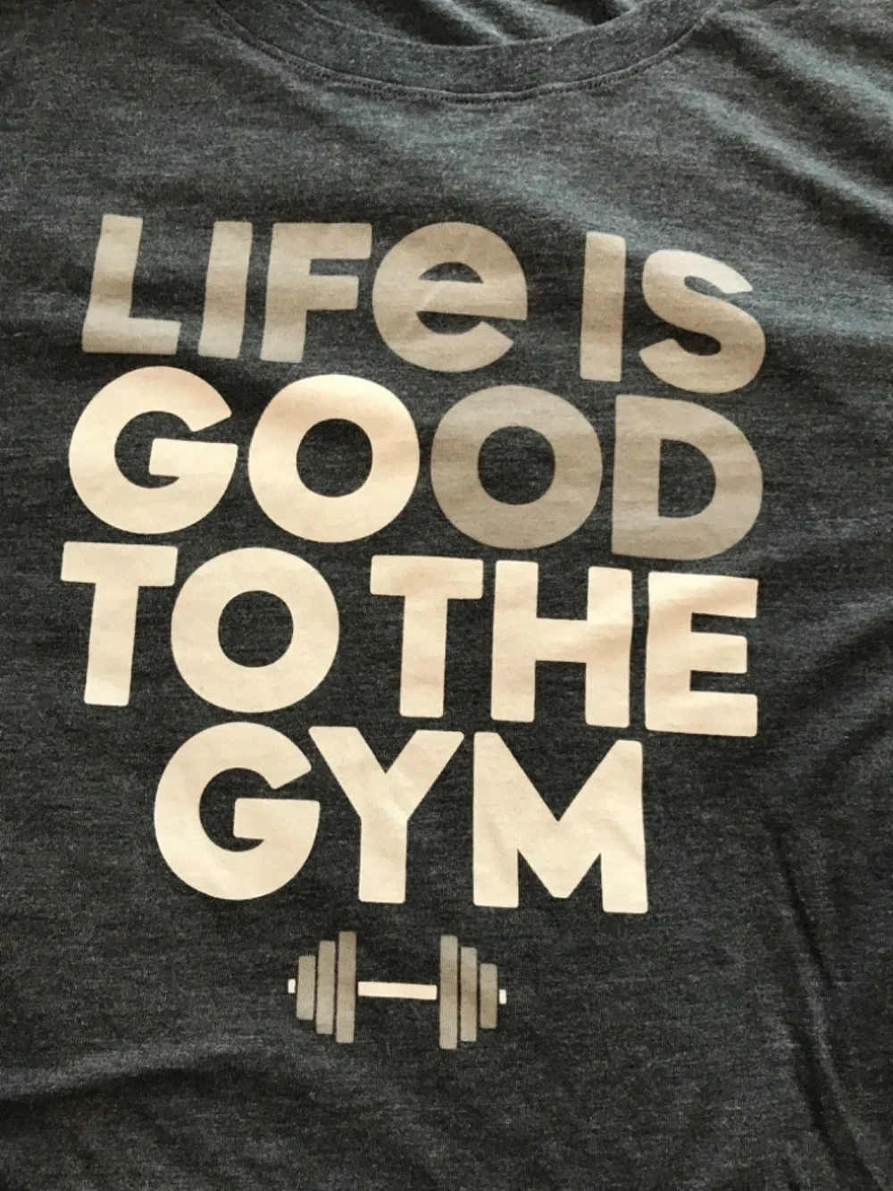 Life is Good “Go to the Gym” gray printed short sleeve crewneck tee shirt (3XL)